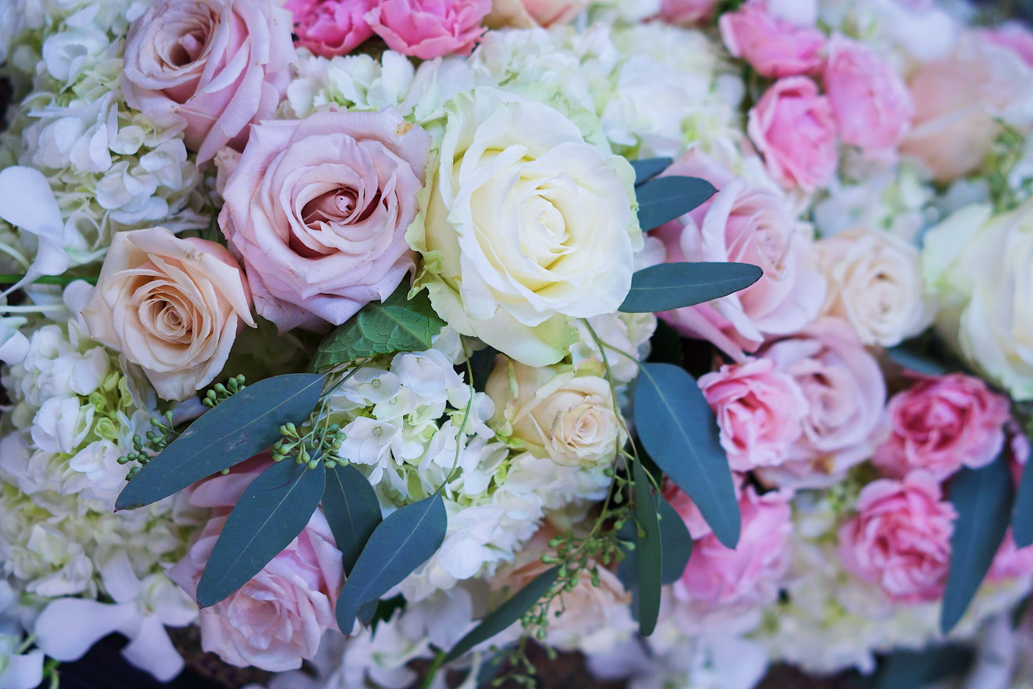 Professional wedding photography