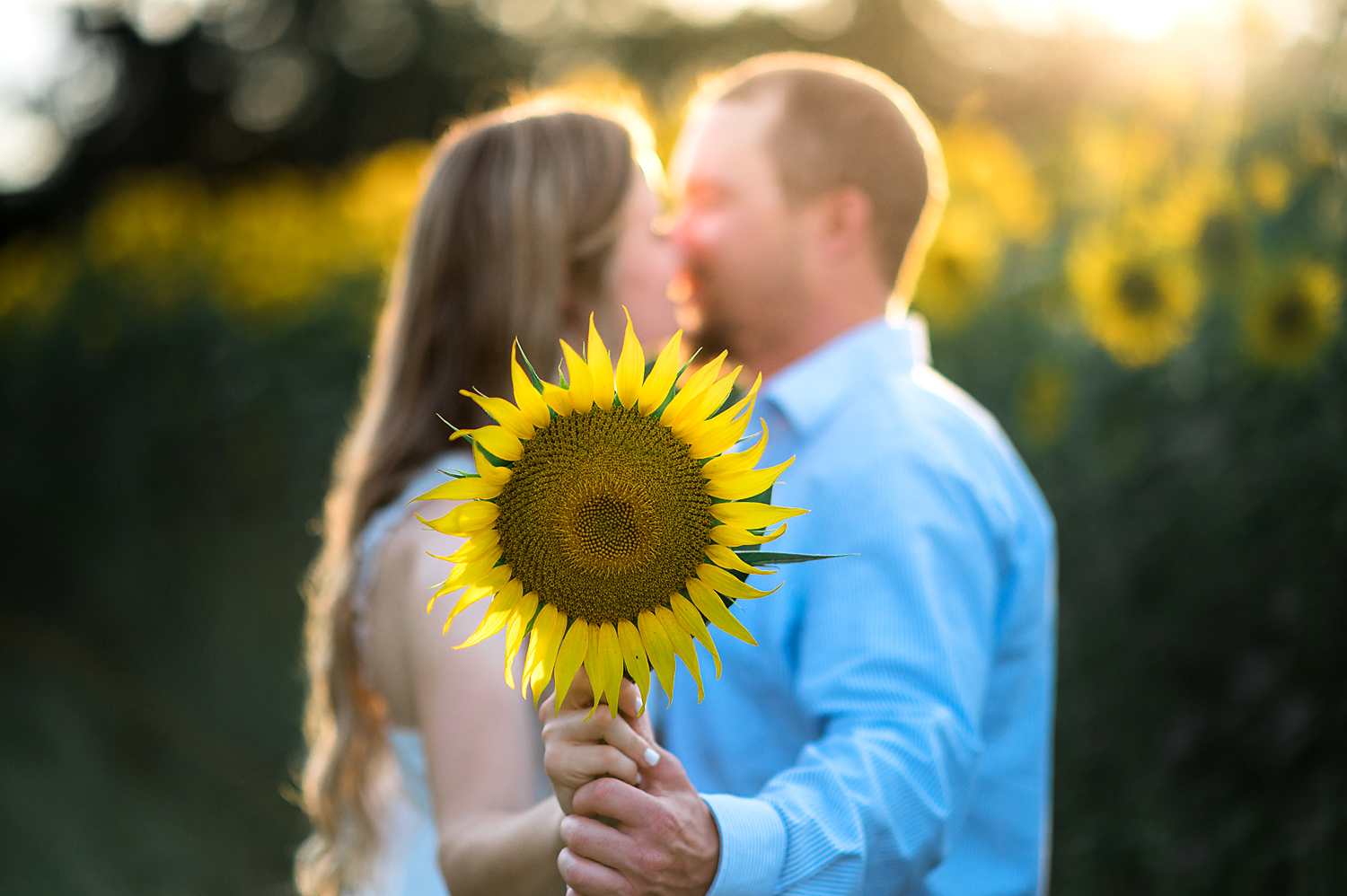 Couples and Engagement photos by Lisa Rowland